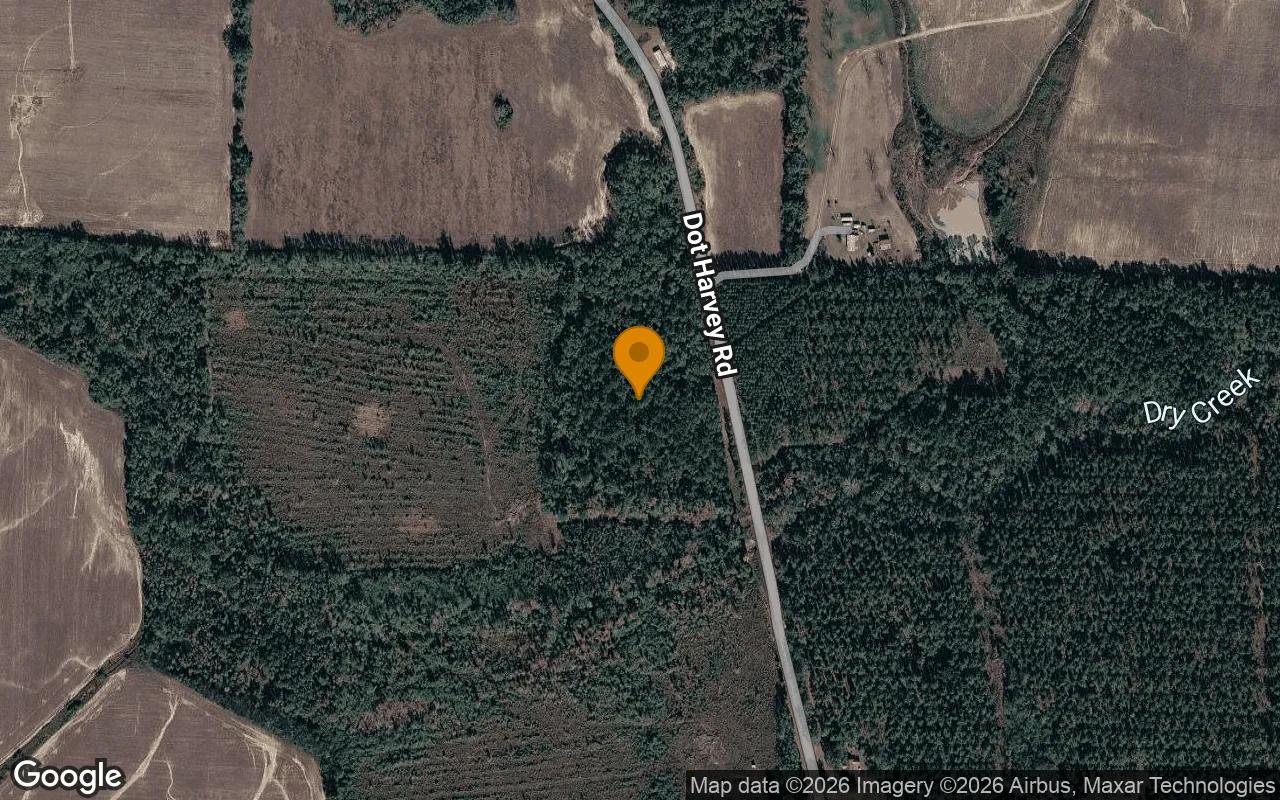 Decorative background for 15.02 Acres in Jakin - Early County, GA image 6