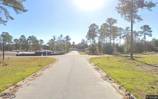 Decorative background for 0.55 Acres in Townsend - McIntosh County, GA image 5