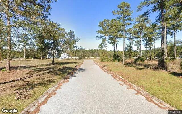 Decorative background for 0.55 Acres in Townsend - McIntosh County, GA image 6