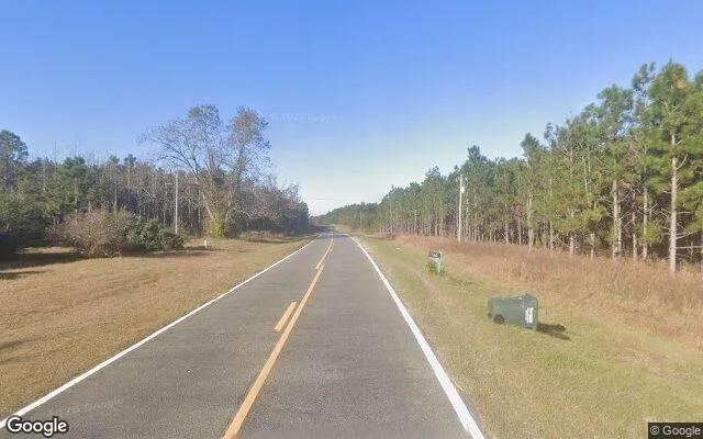 Decorative background for 0.54 Acres in Metter - Candler County, GA image 6
