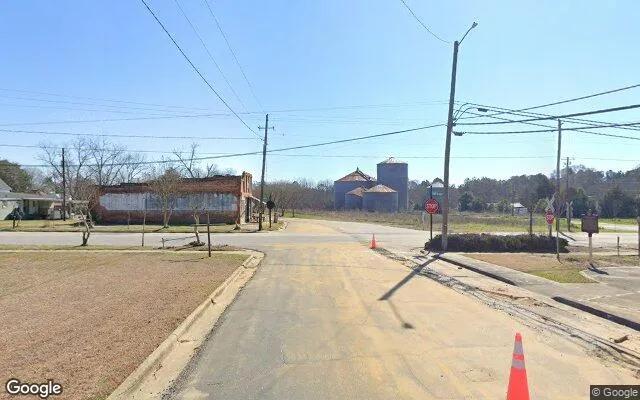 Decorative background for 0.11 Acres in Register - Bulloch County, GA image 6