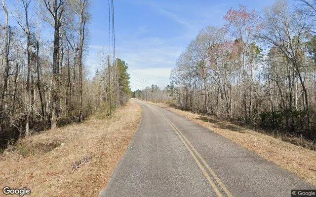 Decorative background for 34.79 Acres in Kite - Johnson County, GA image 5