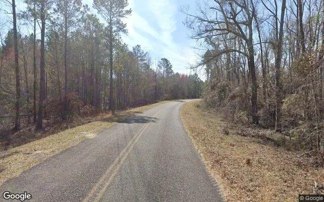 Decorative background for 34.79 Acres in Kite - Johnson County, GA image 6