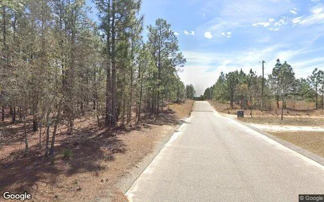 Decorative background for 0.1 Acres in Blythe - Richmond County, GA image 5