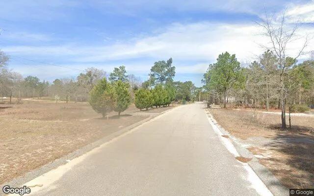Decorative background for 0.1 Acres in Blythe - Richmond County, GA image 6