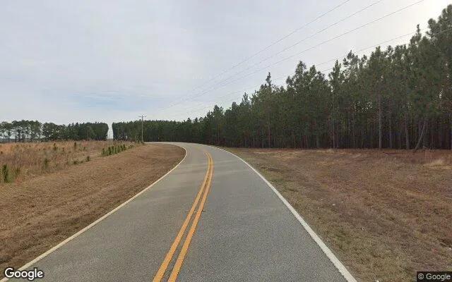 Decorative background for 1.5 Acres in Lyons - Toombs County, GA image 5