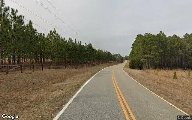 Decorative background for 1.5 Acres in Lyons - Toombs County, GA image 6