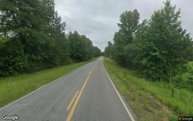 Decorative background for 15.05 Acres in Sylvania - Screven County, GA image 5