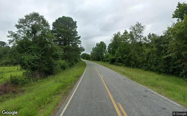 Decorative background for 15.05 Acres in Sylvania - Screven County, GA image 6