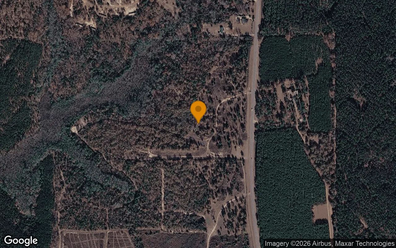 15 Acres in Buena Vista - Marion County, GA in Marion County, Georgia