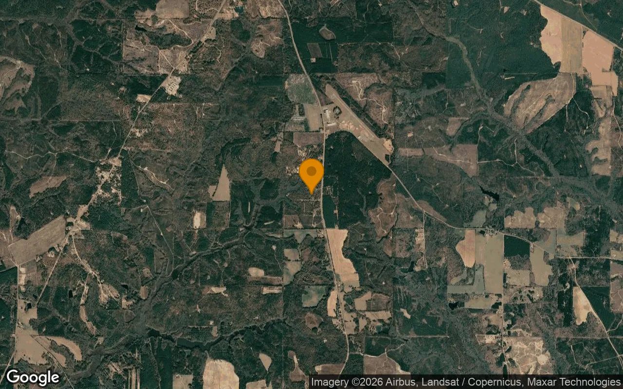 15 Acres in Buena Vista - Marion County, GA in Marion County, Georgia