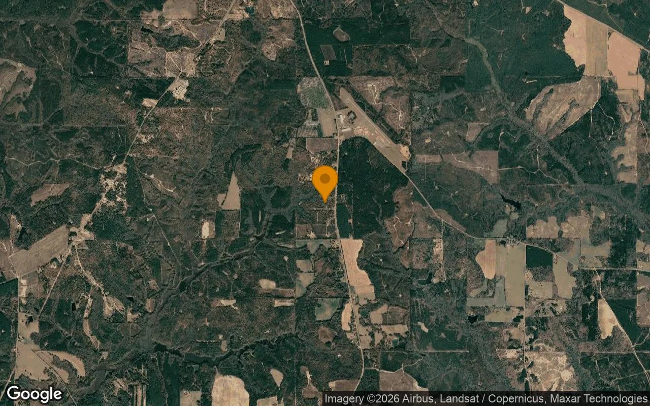 15 Acres in Buena Vista - Marion County, GA - Image 3