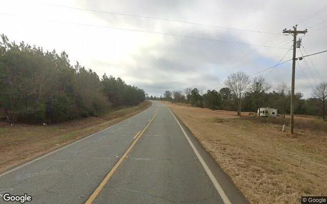Decorative background for 15 Acres in Buena Vista - Marion County, GA image 5