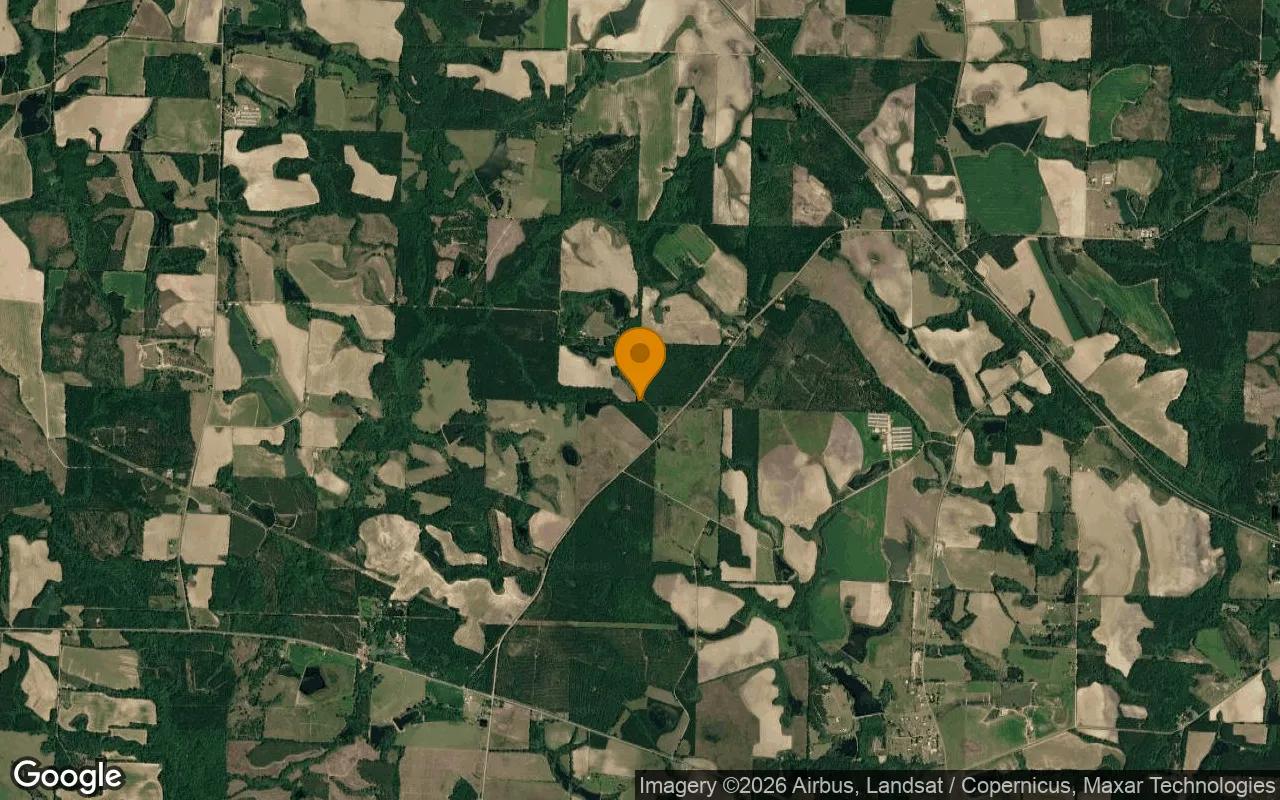 0.91 Acres in Wray - Irwin County, GA - Image 3