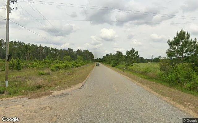 Decorative background for 0.91 Acres in Wray - Irwin County, GA image 6