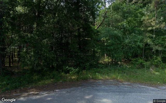 74.56 Acres in Gordon - Wilkinson County, GA in Wilkinson County, Georgia