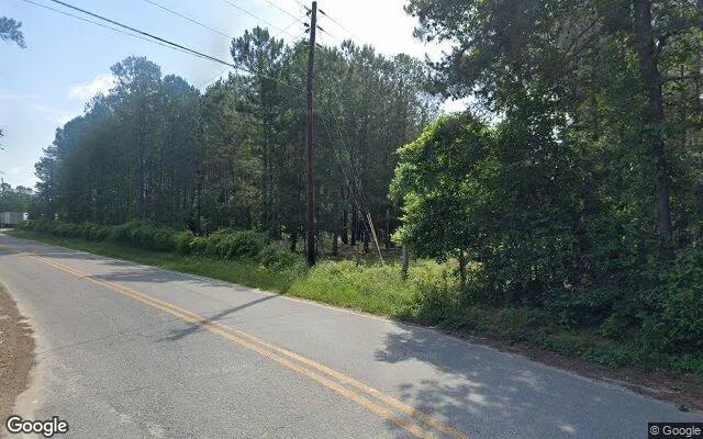 Decorative background for 74.56 Acres in Gordon - Wilkinson County, GA image 5