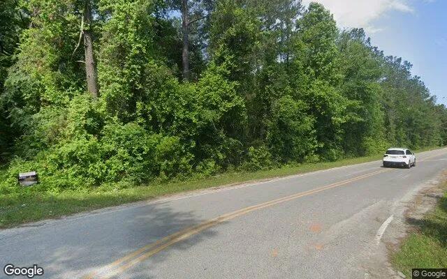Decorative background for 74.56 Acres in Gordon - Wilkinson County, GA image 6