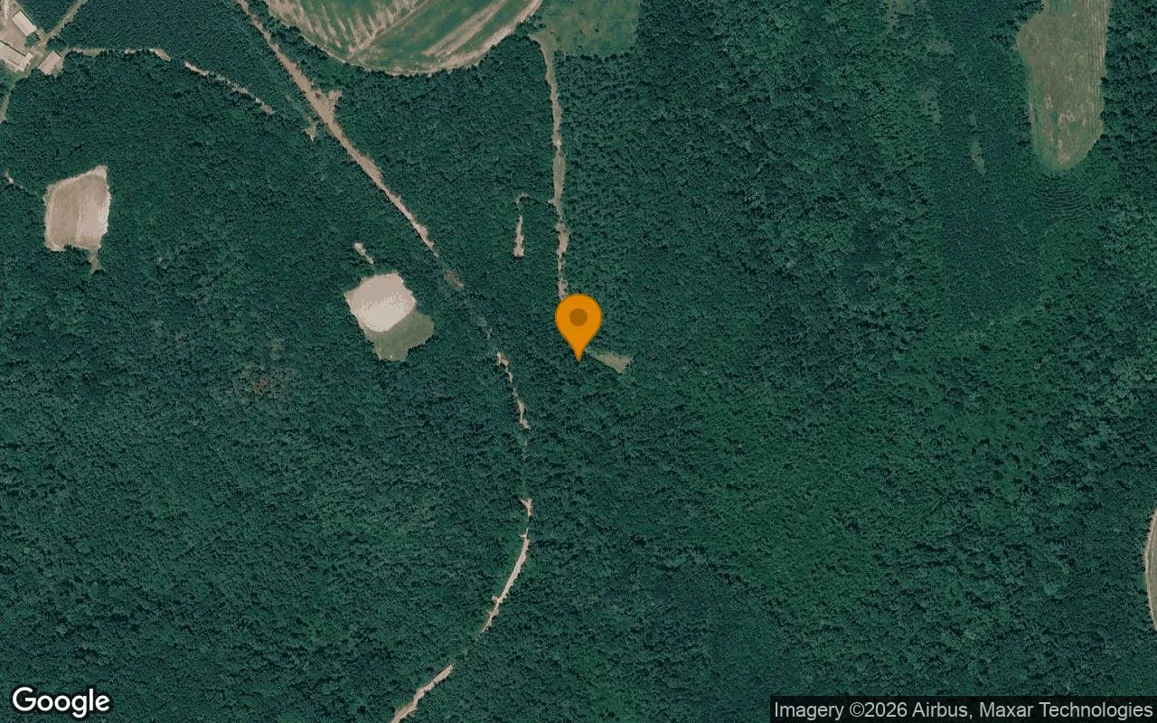 34.79 Acres in Cuthbert - Randolph County, GA in Randolph County, Georgia