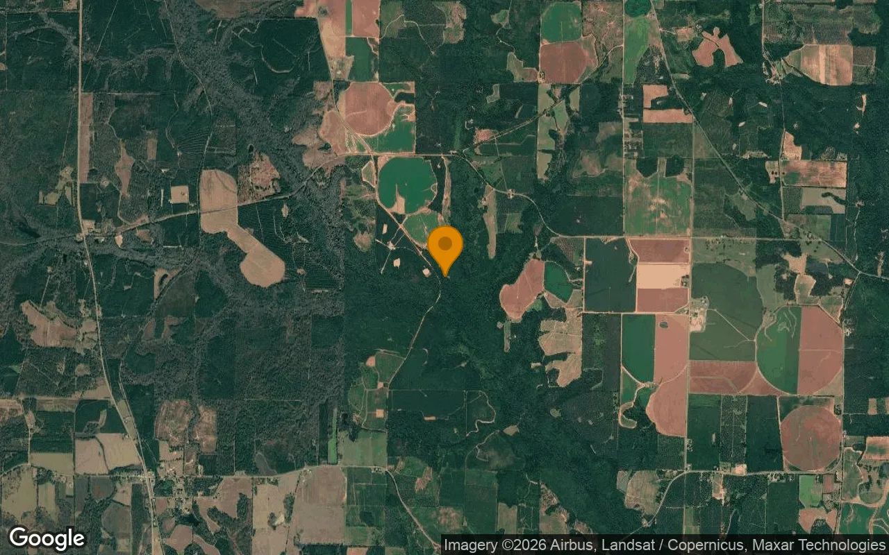 34.79 Acres in Cuthbert - Randolph County, GA in Randolph County, Georgia