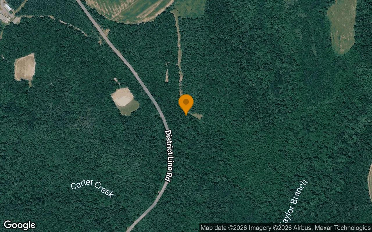 Decorative background for 34.79 Acres in Cuthbert - Randolph County, GA image 6