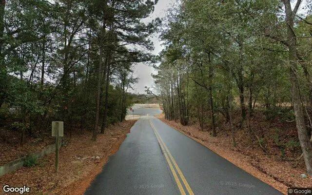 Decorative background for 3.41 Acres in Cusseta - Chattahoochee County, GA image 5