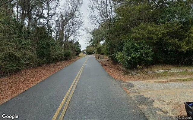 Decorative background for 3.41 Acres in Cusseta - Chattahoochee County, GA image 6