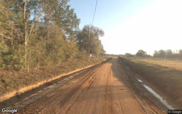 Decorative background for 0.72 Acres in Sale City - Mitchell County, GA image 5