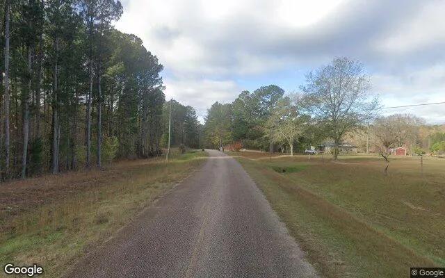 Decorative background for 3.5 Acres in Warm Springs - Meriwether County, GA image 6