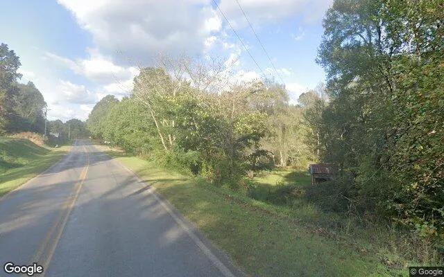 Decorative background for 0.68 Acres in Mc Caysville - Fannin County, GA image 5