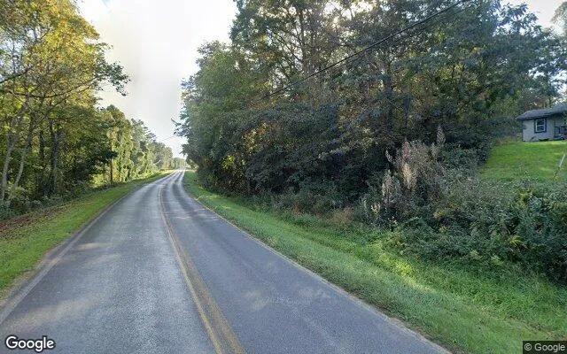 Decorative background for 0.68 Acres in Mc Caysville - Fannin County, GA image 6