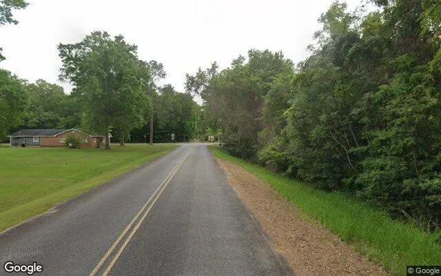Decorative background for 0.55 Acres in Albany - Dougherty County, GA image 6