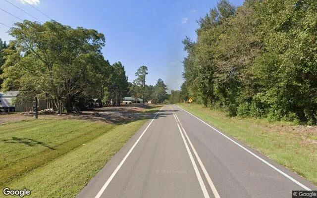Decorative background for 1.5 Acres in Odum - Wayne County, GA image 5