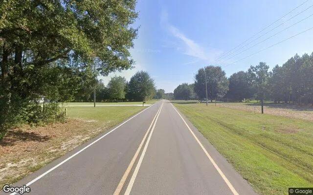Decorative background for 1.5 Acres in Odum - Wayne County, GA image 6