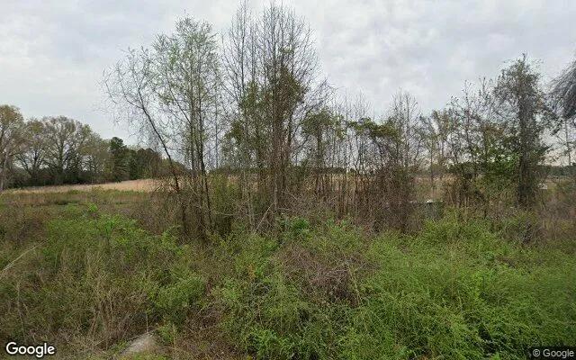 3.5 Acres in Dexter - Laurens County, GA - Image 4