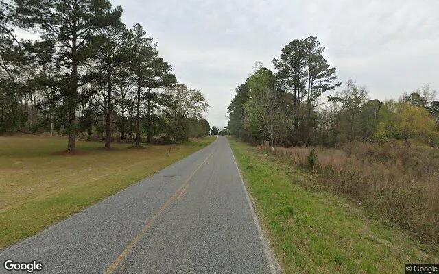 Decorative background for 3.5 Acres in Dexter - Laurens County, GA image 5