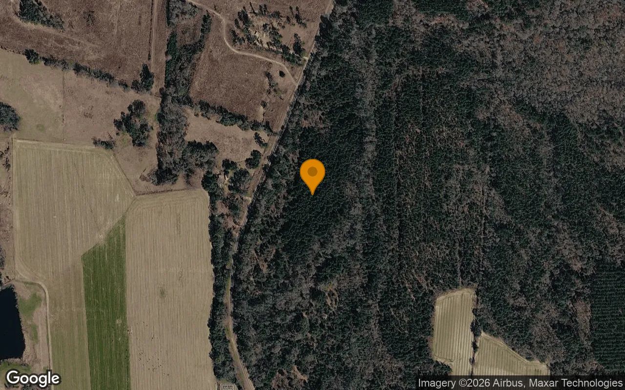 34.99 Acres in Ocilla - Irwin County, GA in Irwin County, Georgia