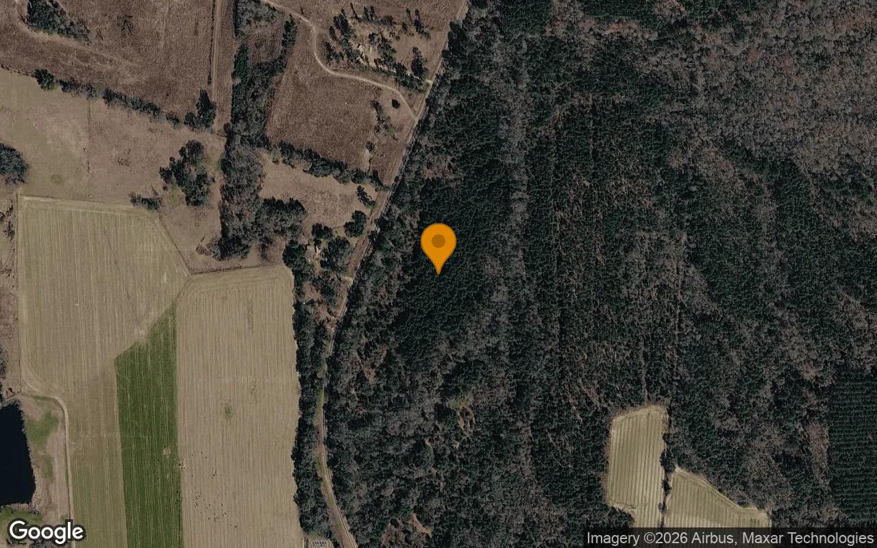 34.99 Acres in Ocilla - Irwin County, GA - Main image