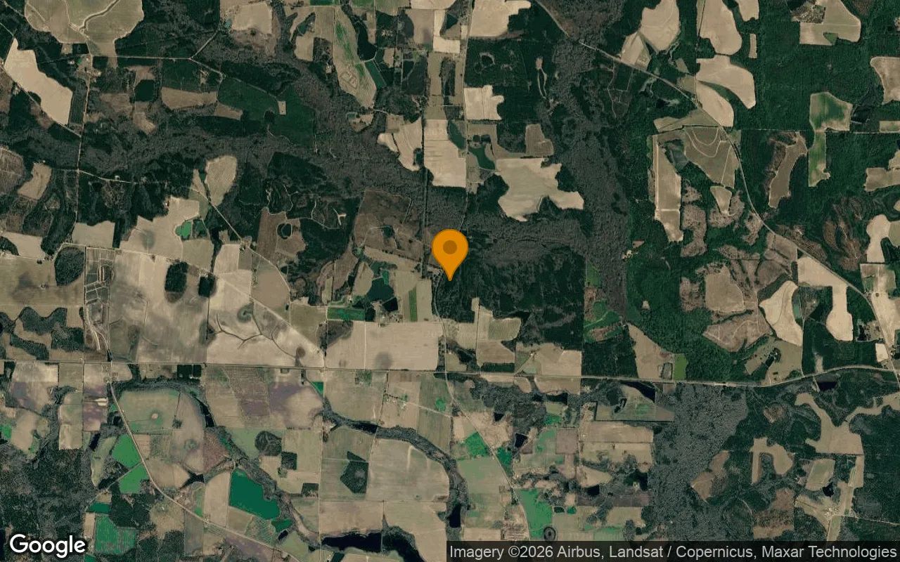 34.99 Acres in Ocilla - Irwin County, GA in Irwin County, Georgia