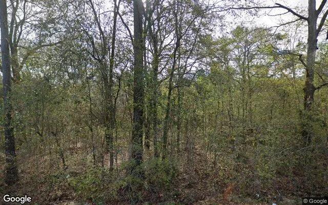 34.99 Acres in Ocilla - Irwin County, GA - Image 4
