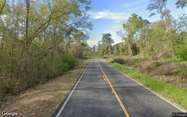 Decorative background for 34.99 Acres in Ocilla - Irwin County, GA image 6