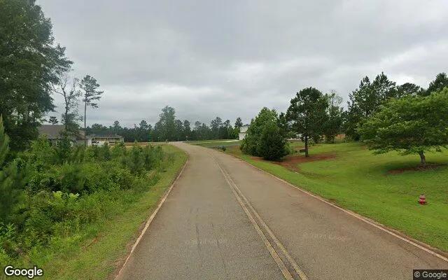 Decorative background for 1.5 Acres in Forsyth - Monroe County, GA image 6