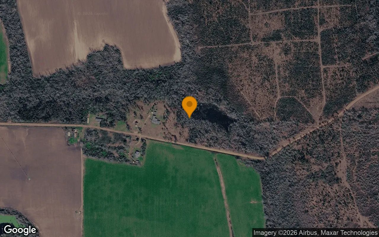 0.33 Acres in Ambrose - Coffee County, GA in Coffee County, Georgia
