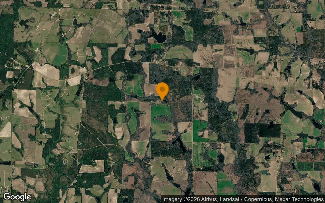 0.33 Acres in Ambrose - Coffee County, GA in Coffee County, Georgia