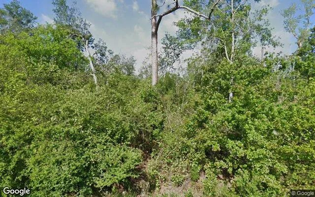 0.33 Acres in Ambrose - Coffee County, GA in Coffee County, Georgia