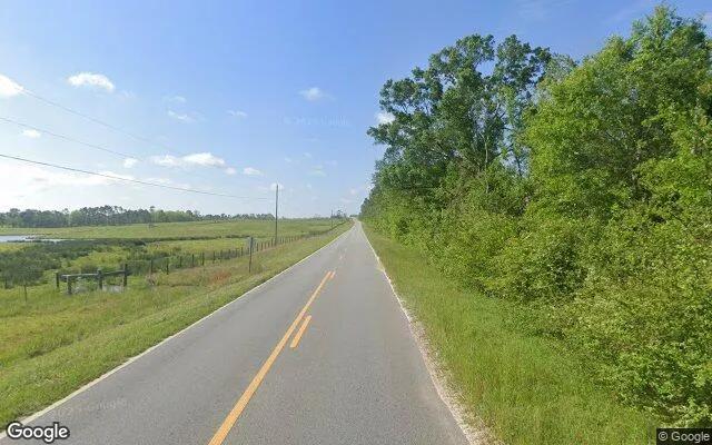 Decorative background for 0.33 Acres in Ambrose - Coffee County, GA image 5