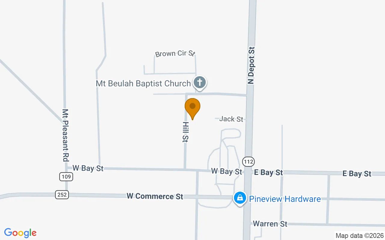 0.29 Acres in Pineview - Wilcox County, GA in Wilcox County, Georgia
