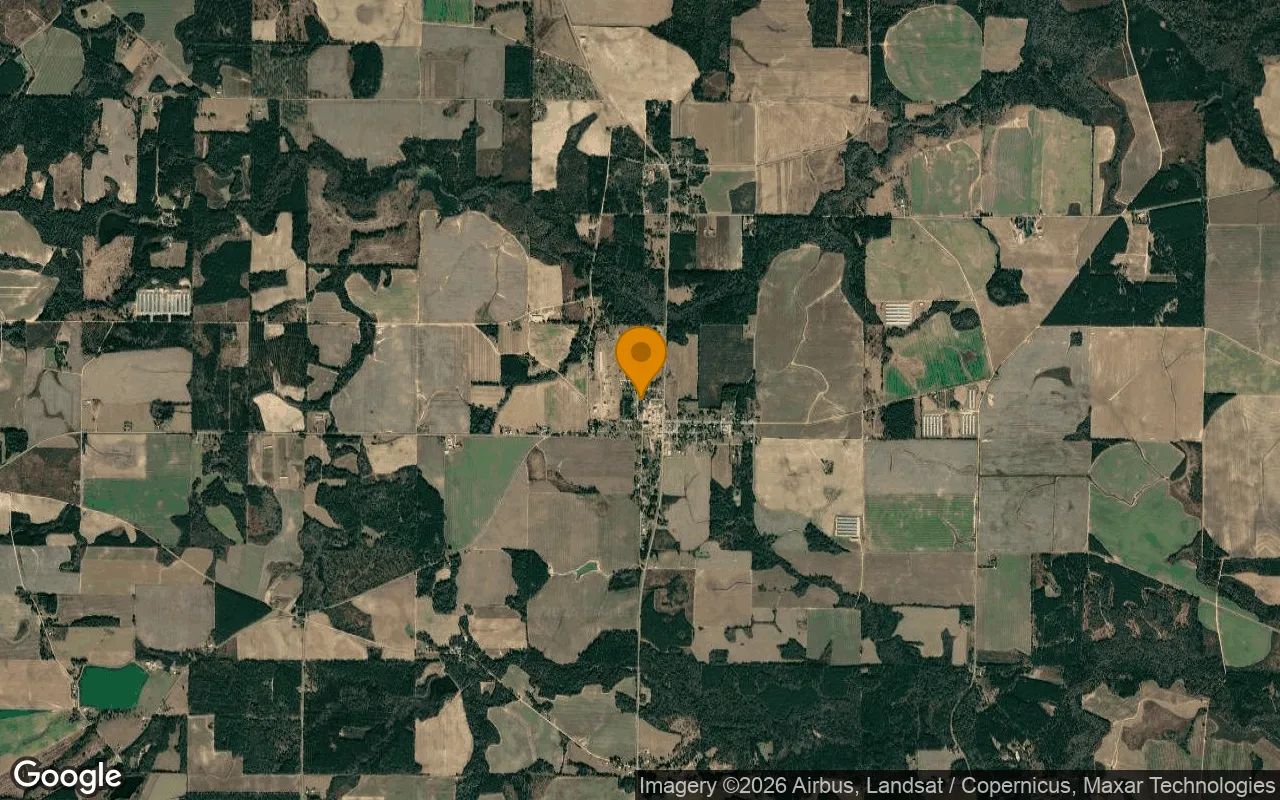 0.29 Acres in Pineview - Wilcox County, GA in Wilcox County, Georgia