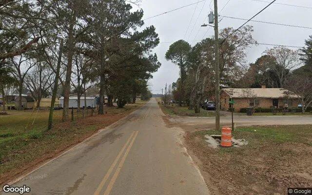 Decorative background for 0.29 Acres in Pineview - Wilcox County, GA image 5