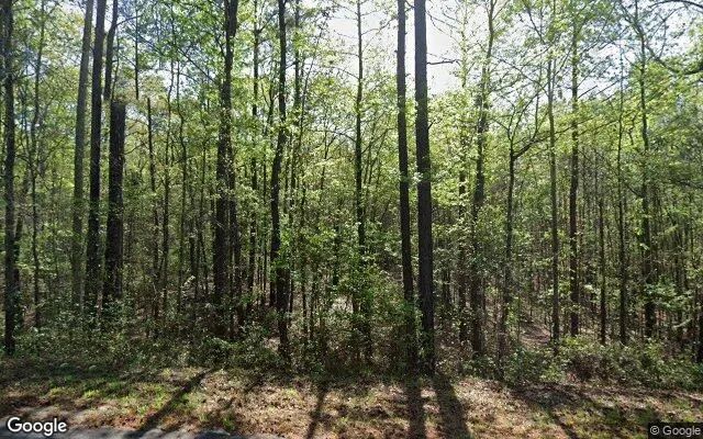 1.64 Acres in Junction City - Talbot County, GA in Talbot County, Georgia